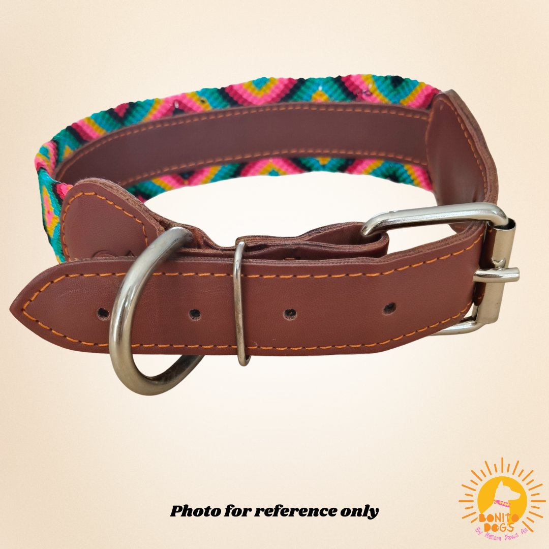 Extra-Large Mexican Leather Collar - set 1