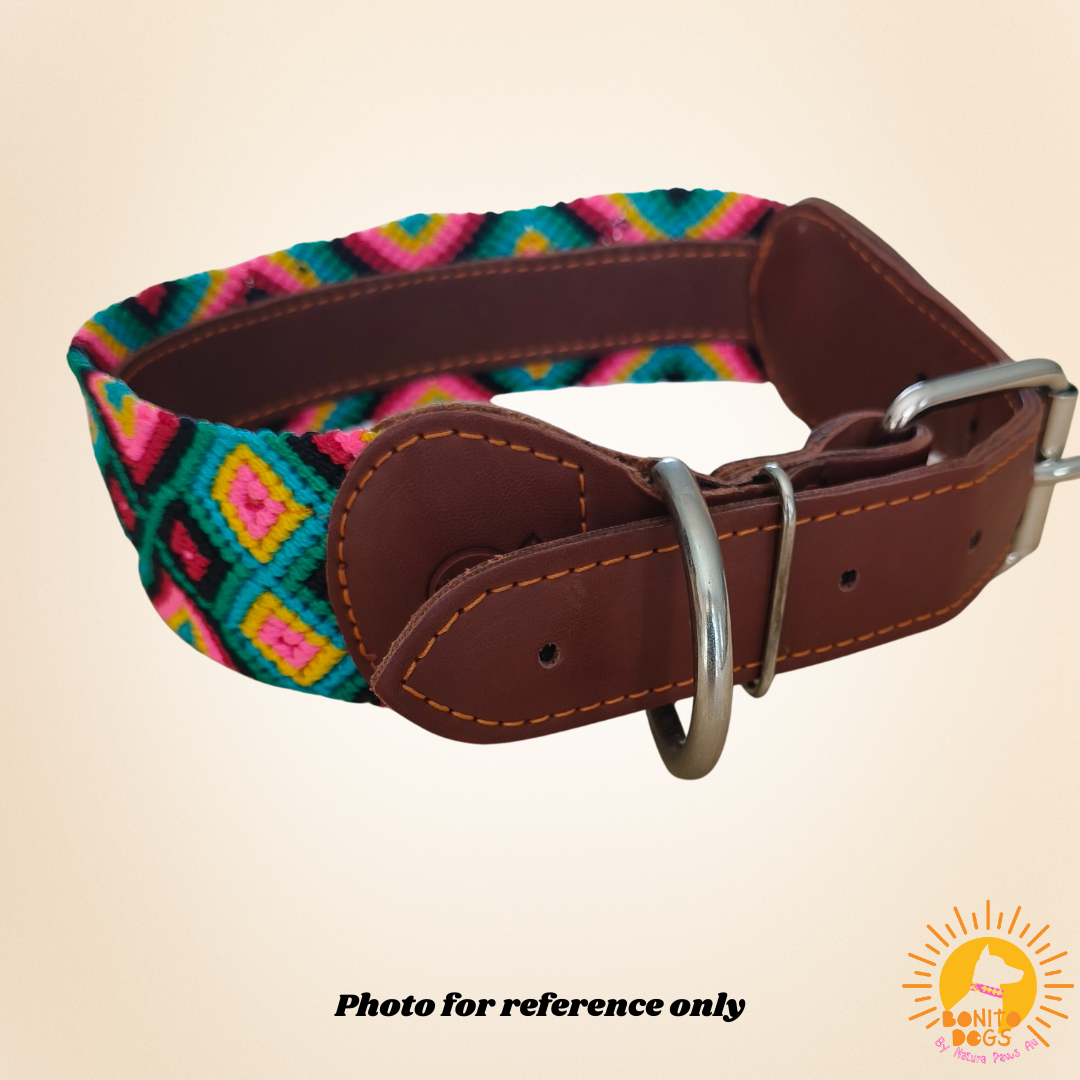Extra-Large Mexican Leather Collar - set 1