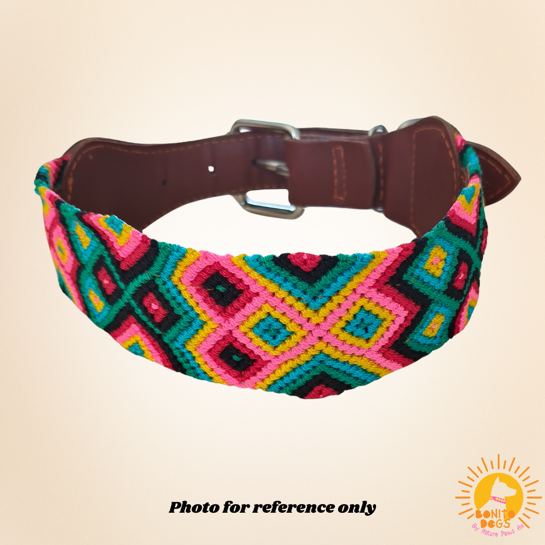 Extra-Large Mexican Leather Collar - set 1