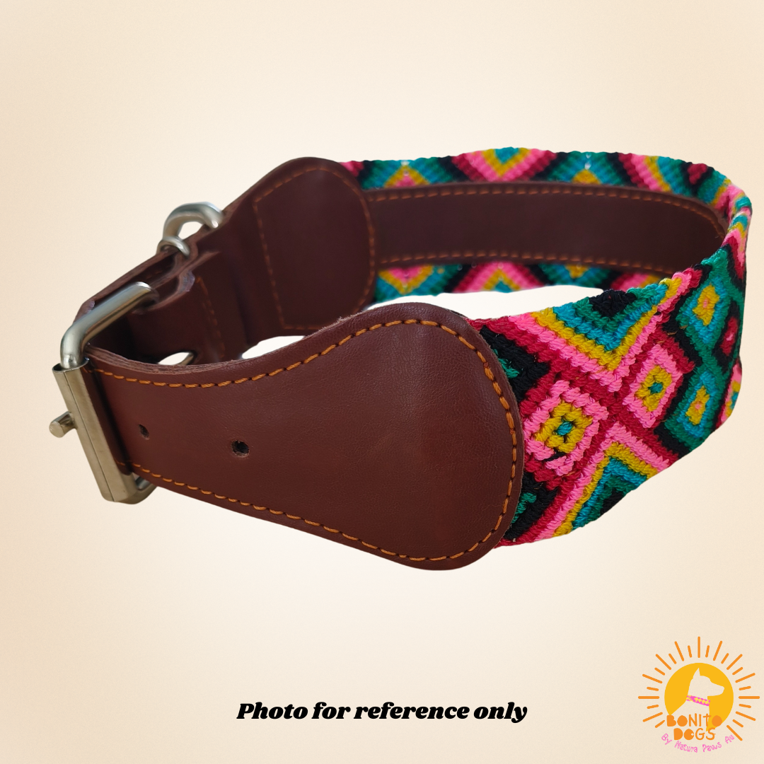 Extra-Large Mexican Leather Collar - set 1