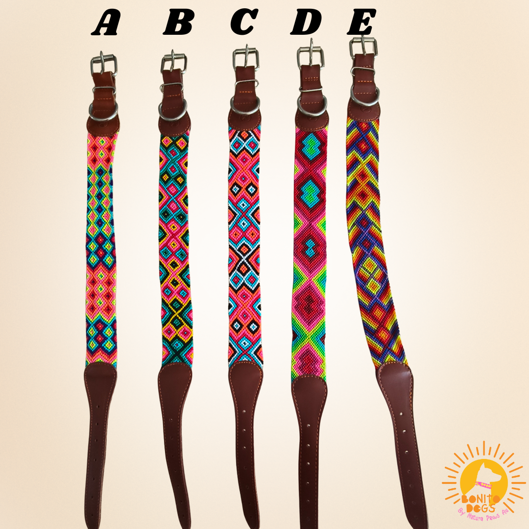 Extra-Large Mexican Leather Collar - set 2
