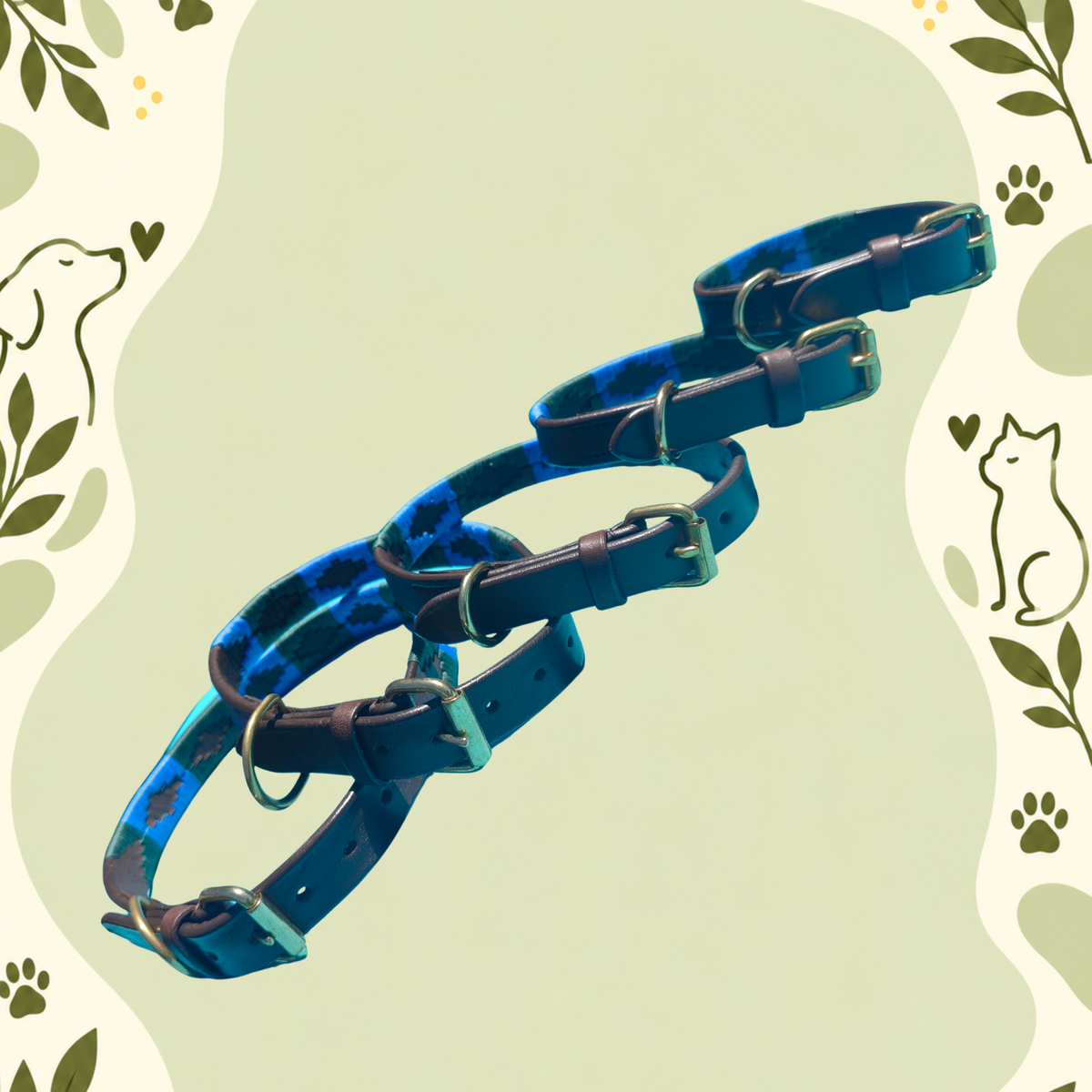 Pampa Azul – Handwoven Gaucho Buffalo Leather Dog Collar