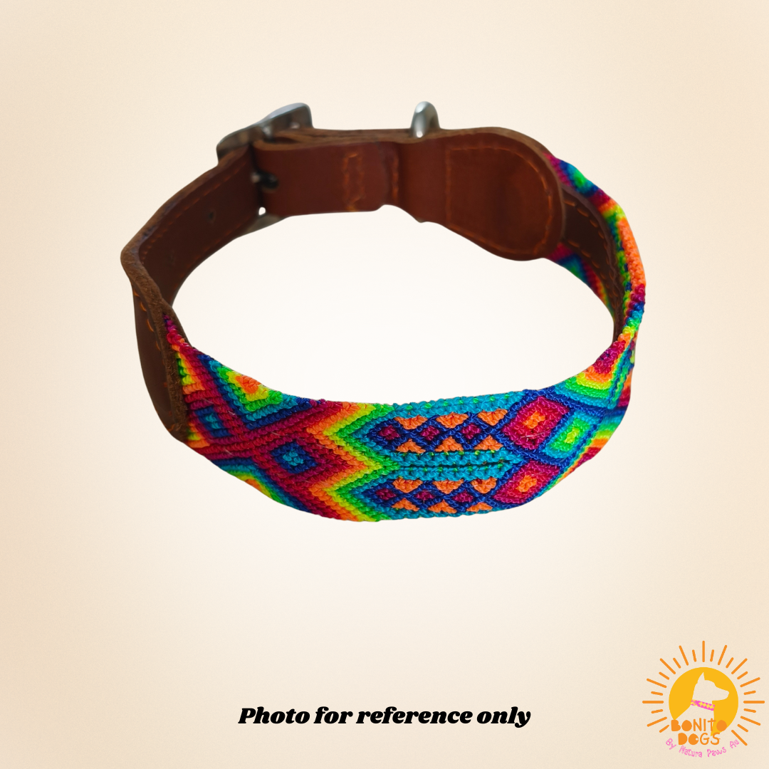 Extra-Large Mexican Leather Collar - set 1