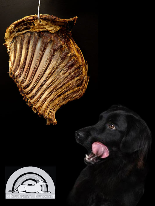 Air Dried Kangaroo Ribs