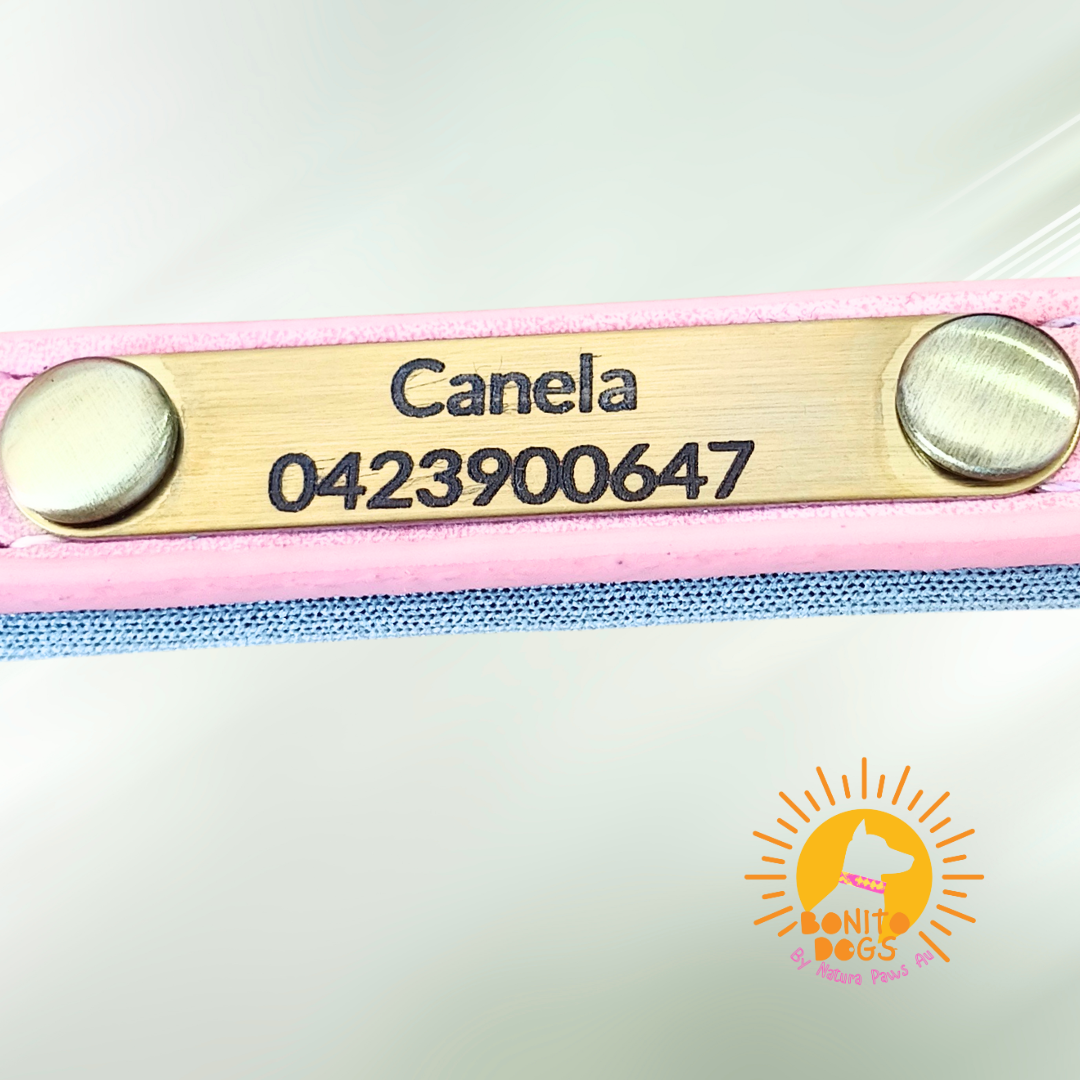 Coral Frost – Personalised Dog Collar
