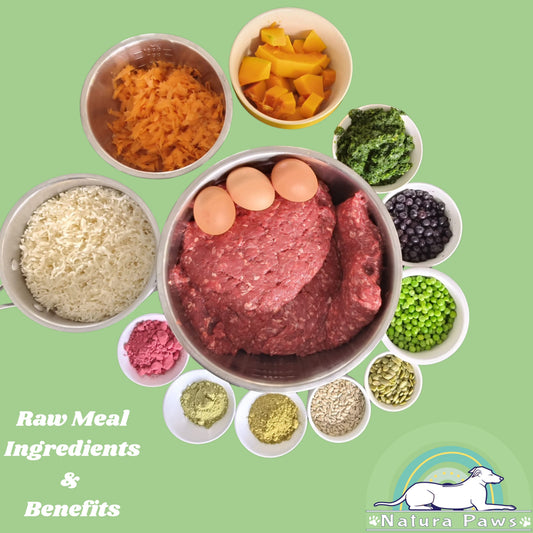 Raw Superfood Kangaroo Bowl for a 10kg Dog