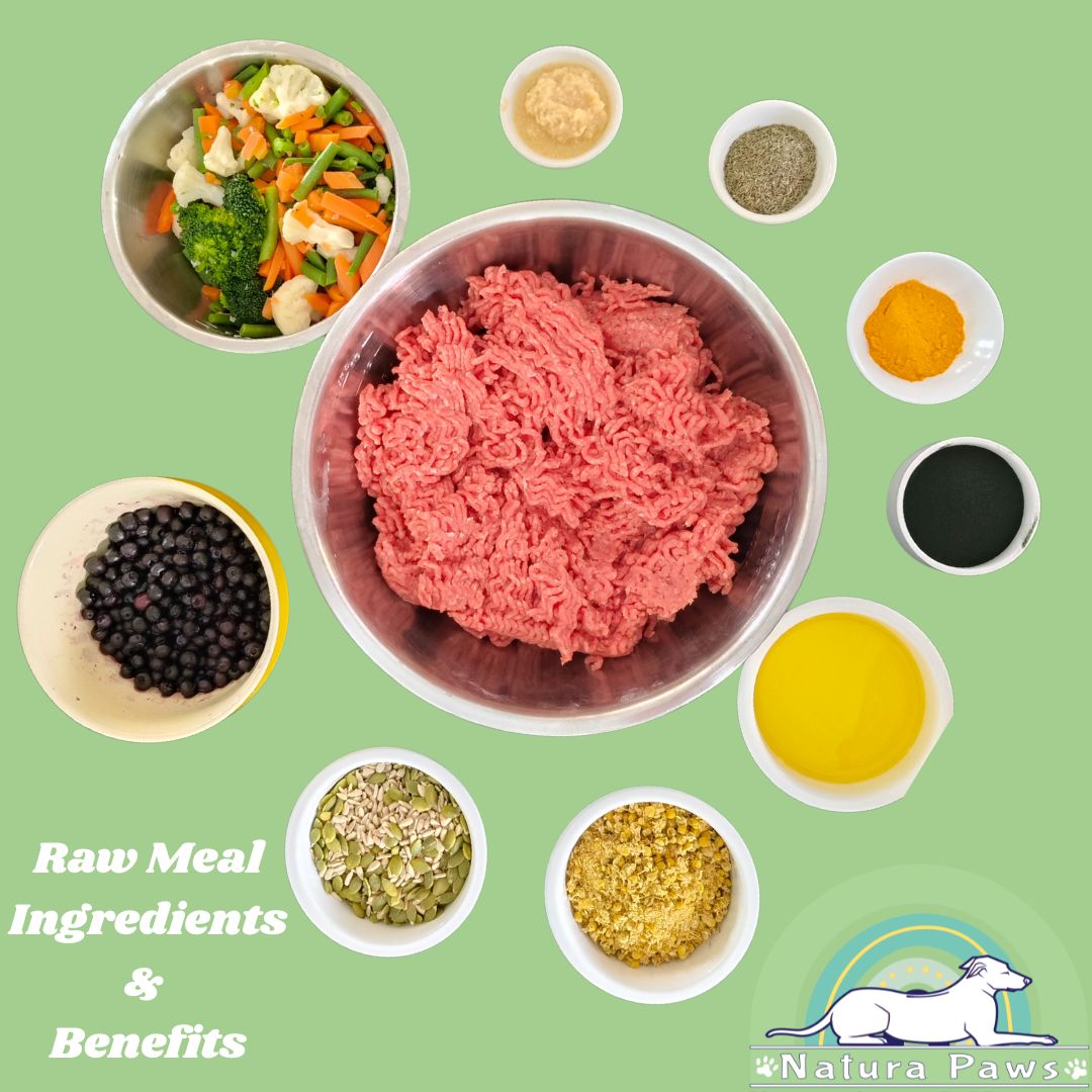 Superfoods for Dogs + A Simple Recipe for a 10kg Pup 🐾