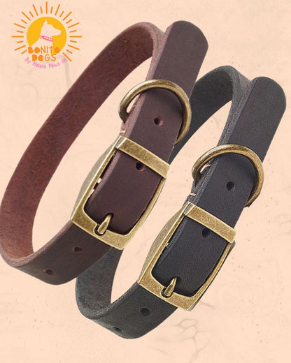 Heritage Leather Collar™