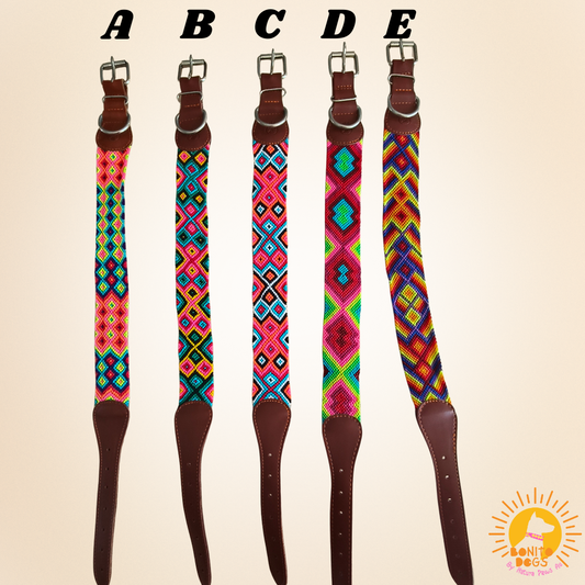 Extra-Large Mexican Leather Collar - set 2