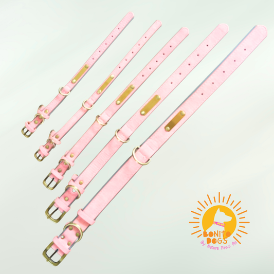 Coral Frost – Personalised Dog Collar