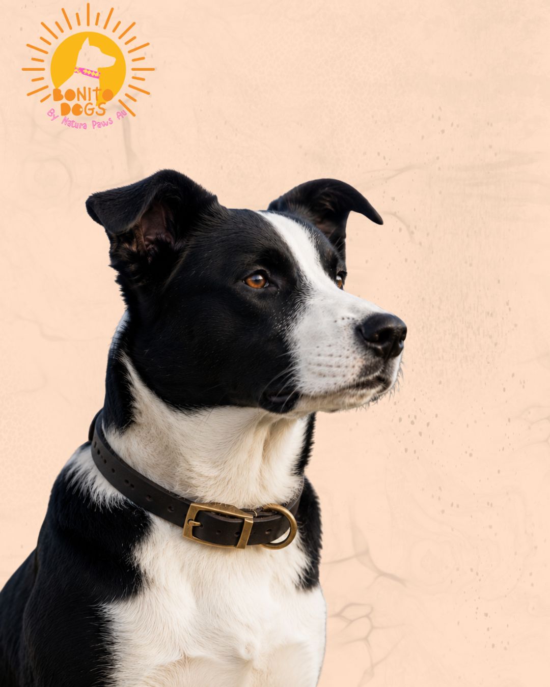 Heritage Leather Collar™