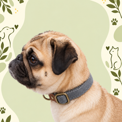 Clip ’n’ Go Adjustable Dog Collar —Grey Ghost