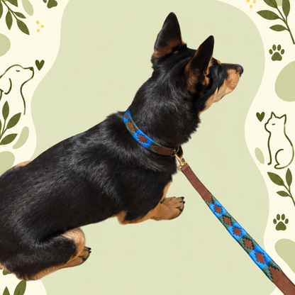 Pampa Azul – Handwoven Gaucho Buffalo Leather Dog Collar