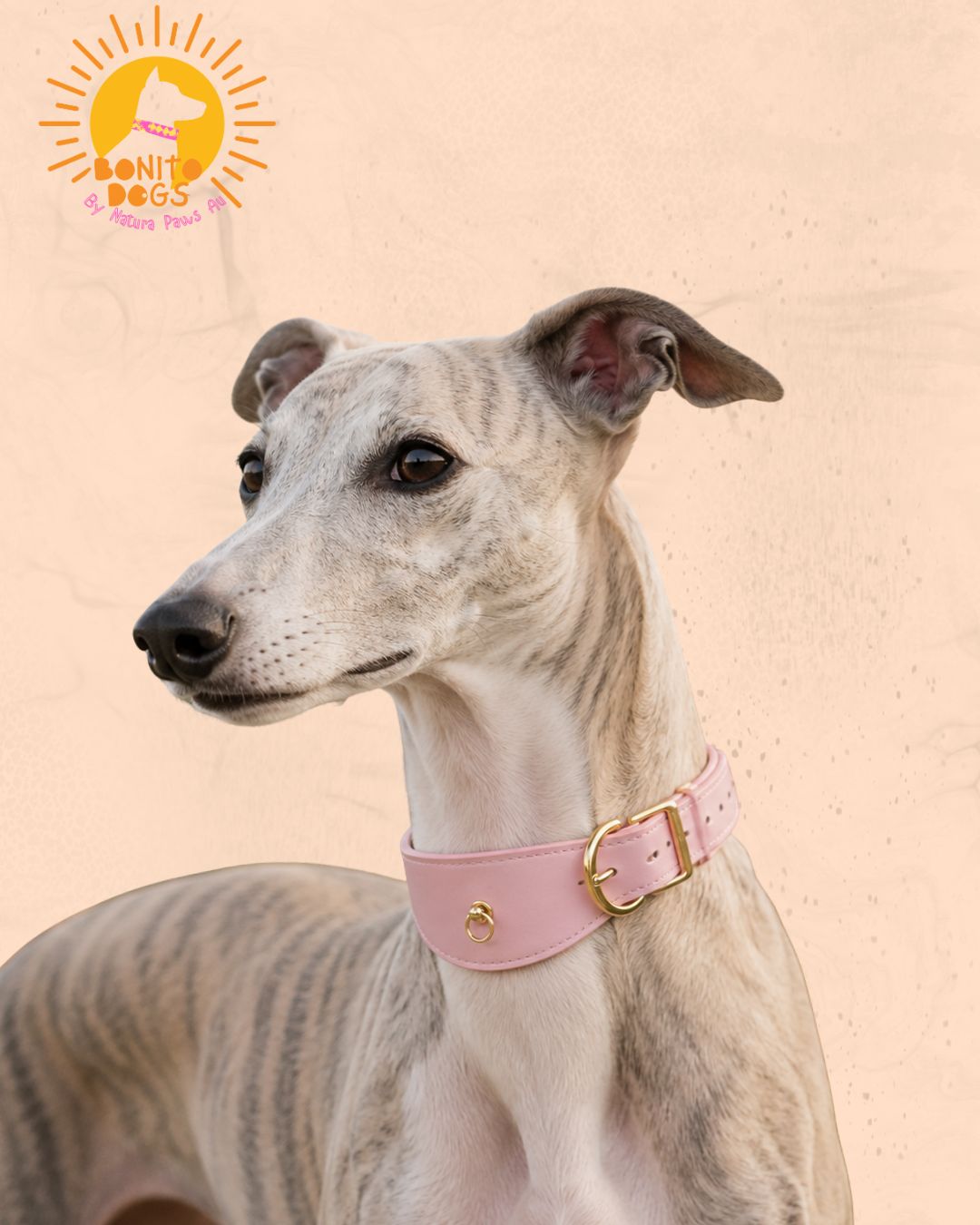 Velvet Whippet Collar