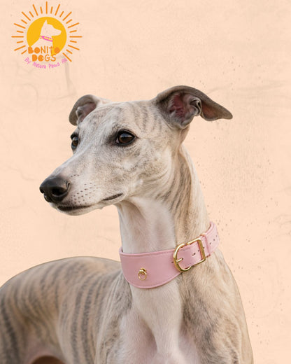 Velvet Whippet Collar