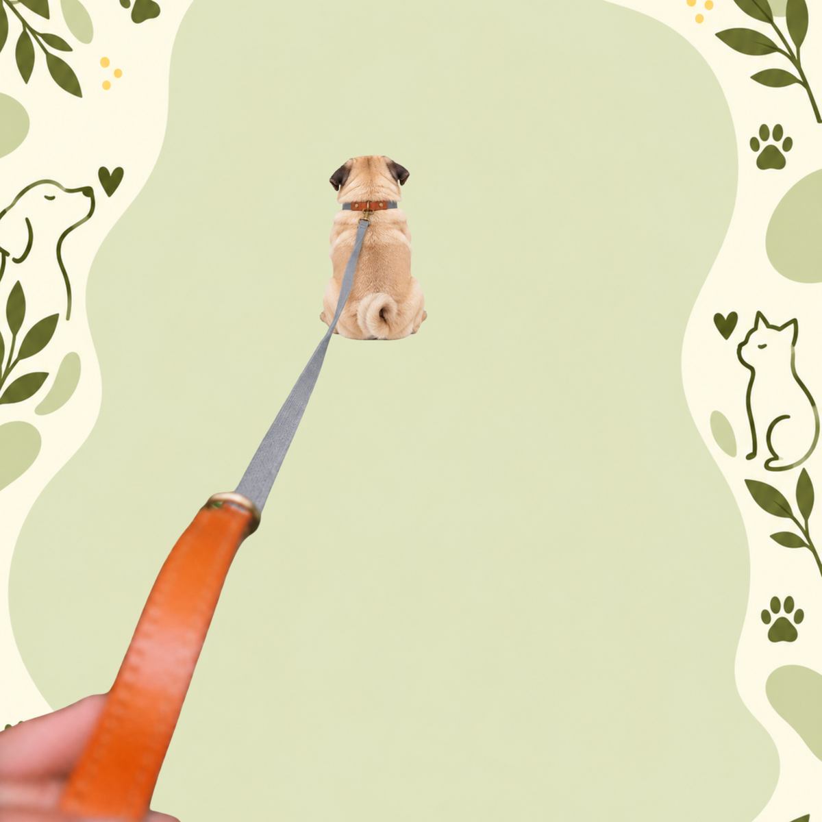 Clip ’n’ Go Adjustable Dog Collar —Grey Ghost