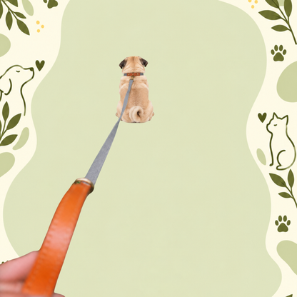 Clip ’n’ Go Adjustable Dog Collar —Grey Ghost