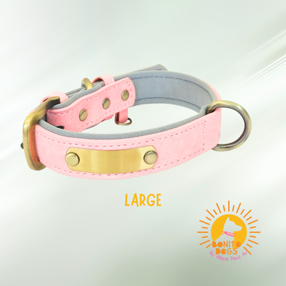 Coral Frost – Personalised Dog Collar