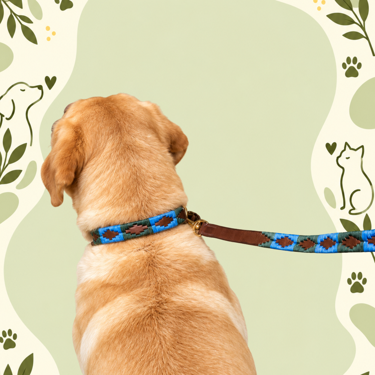 Pampa Azul – Handwoven Gaucho Buffalo Leather Dog Collar