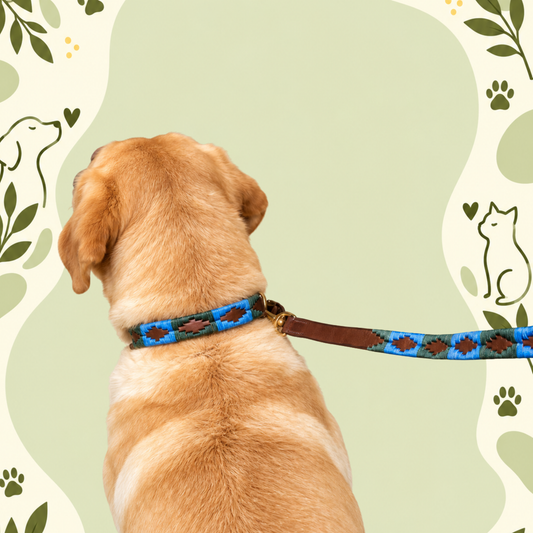 Pampa Azul – Handwoven Gaucho Leather Dog Lead
