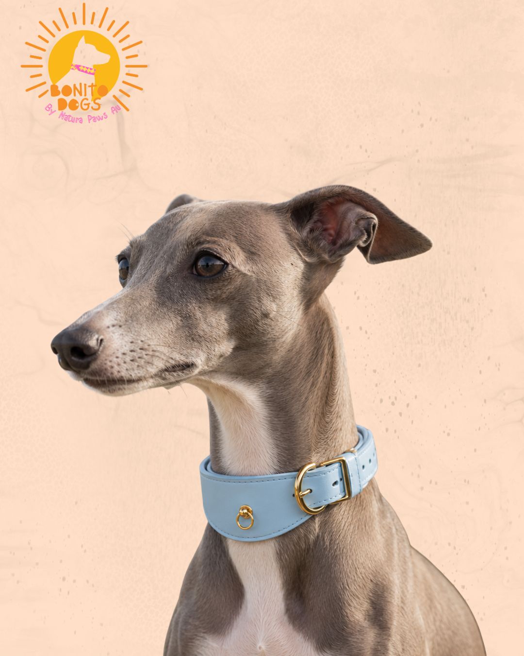 Velvet Whippet Collar