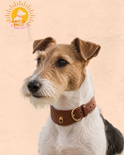 Velvet Whippet Collar