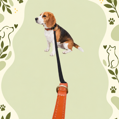 Clip ’n’ Go Adjustable Dog Collar — Black Bandit