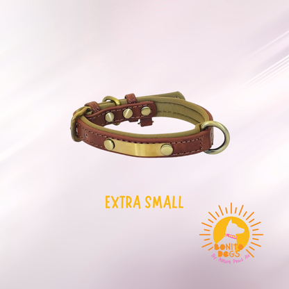 Maple Clay – Personalised Dog Collar