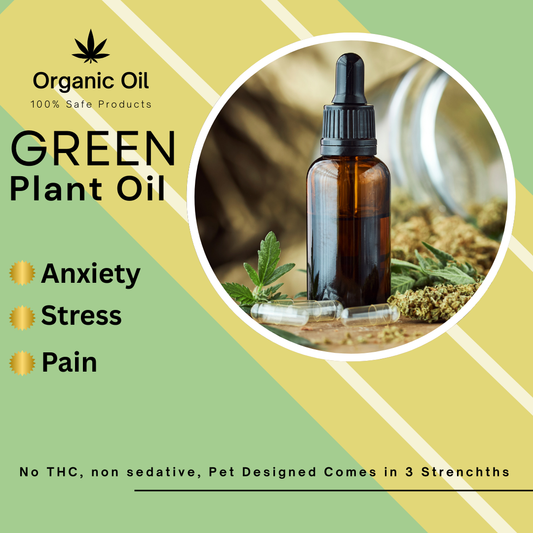 🌿 Green Plant Oil – Daily Calm for Pets