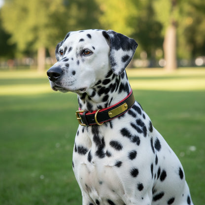 Onyx Ember – Personalised Dog Collar