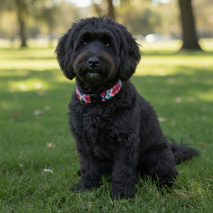 Small Arista  Collar - set 1