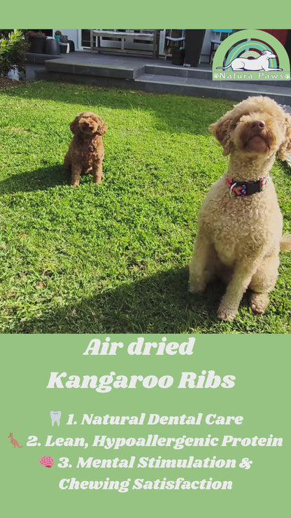 Air Dried Kangaroo Ribs