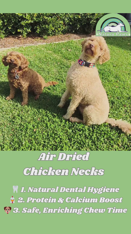 Air Dried Chicken Necks